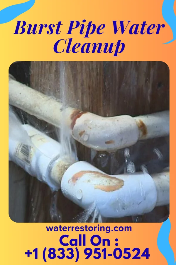 Burst Pipe Water Cleanup in Upsala, MN
