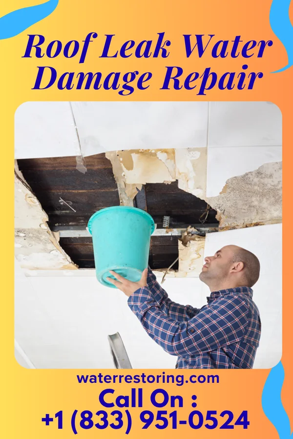 Roof Leak Water Damage Repair in Upsala, MN