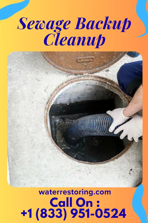 Sewage Backup Cleanup in Upsala, MN