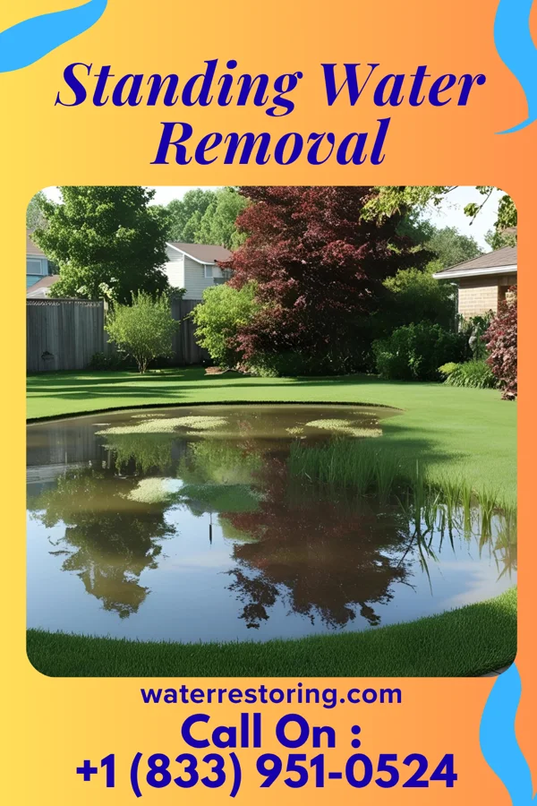 Standing Water Removal in Upsala, MN